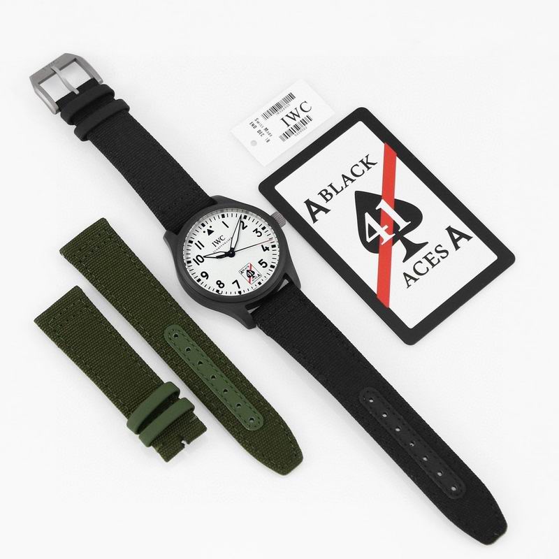 IWC watch 40 (8)